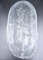 Vintage pressed glass plate from the Humpilan Lasi “Pine Branch” series - Image 3